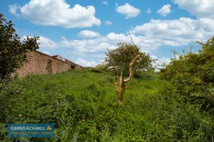 Garden- click for photo gallery